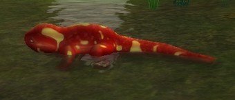 Mob Triton vermillon.jpg