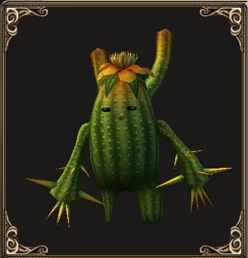 Fichier:Pet Cactus à fleurs (familier).jpg