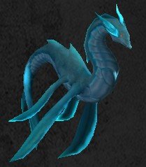 Pet Draco téthys adulte.jpg