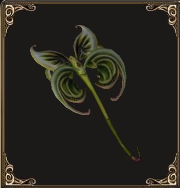 Fichier:Pet Hesperiidae des Terres Arides (familier).jpg