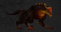 Pet Jeune draco hypérion.jpg