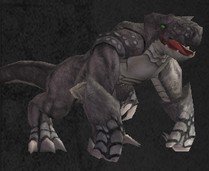 Pet Jeune draco kronos.jpg