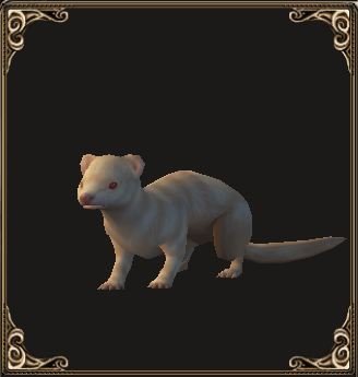 Fichier:Pet Jonesy (familier).jpg