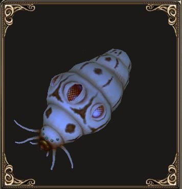 Fichier:Pet Larve (familier).jpg