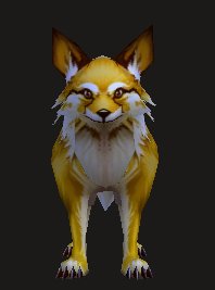 Pet Renard des forêts (familier).jpg