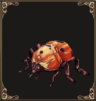 Fichier:Pet Scarabée tacheté (familier).jpg