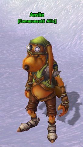 Fichier:Pnj Anslie.jpg