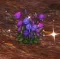 Vignette pour la version du 6 juillet 2019 à 19:48