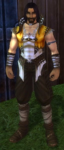 Fichier:Pnj Gosster Hantes.jpg