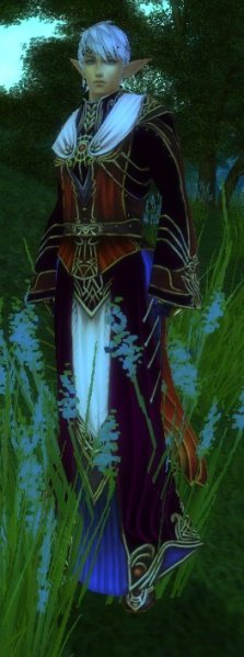 Fichier:Pnj Sheorwest.jpg