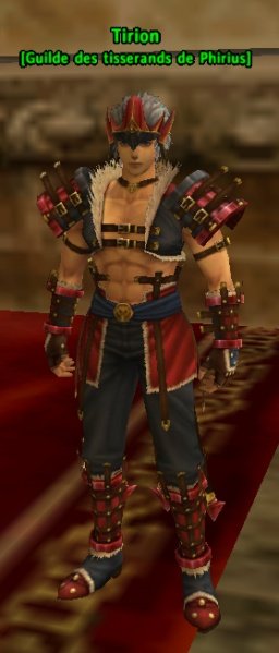 Fichier:Pnj Tirion.jpg