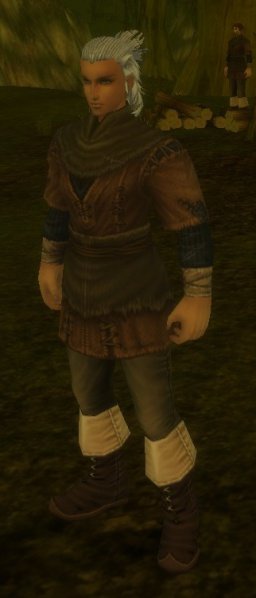 Fichier:Pnj Walous.jpg